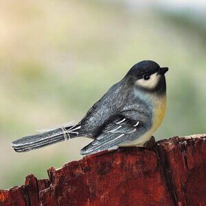 Yellow-Bellied Blue Tit Bird Resin Figurine by Transpac - Looking Right - Tail D